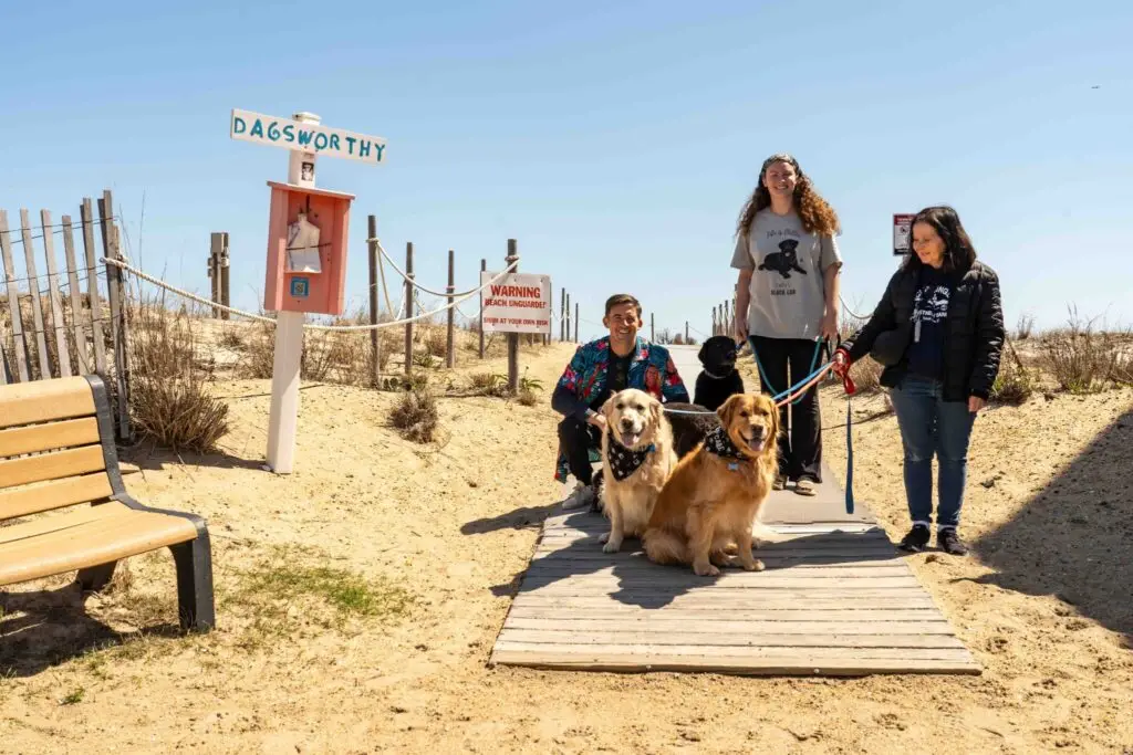dogs-care-2048×1365 (1)