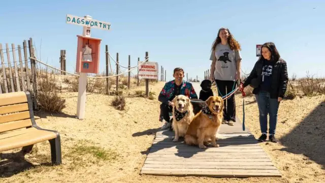 dogs-care-2048×1365 (1)