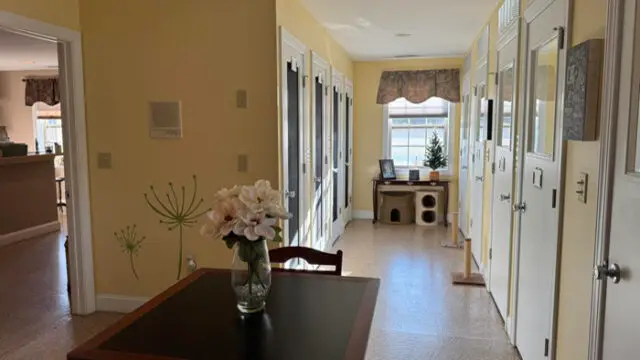 image_homepage-3