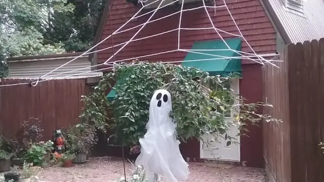 Neverland Kennel