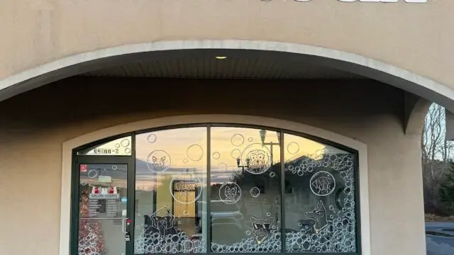 Royal dog Spa