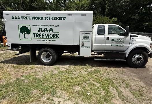 aaa tree image 2