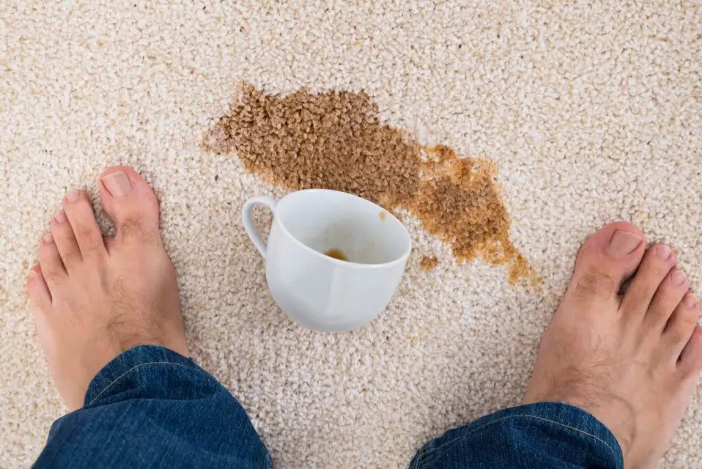 advance carpet 3