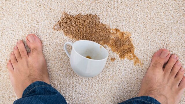 advance carpet 3