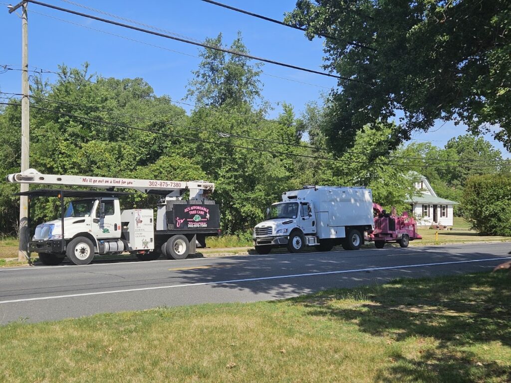 Al’s Affordable Tree Care