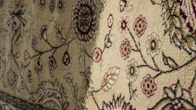 Cleaning of carpets showing before and after cleaning