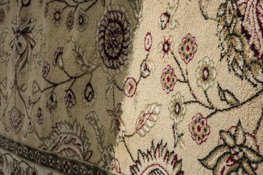 Cleaning of carpets showing before and after cleaning