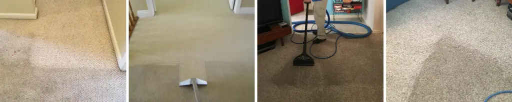 brothers carpet 3