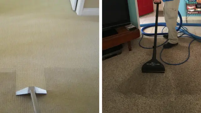 brothers carpet 3