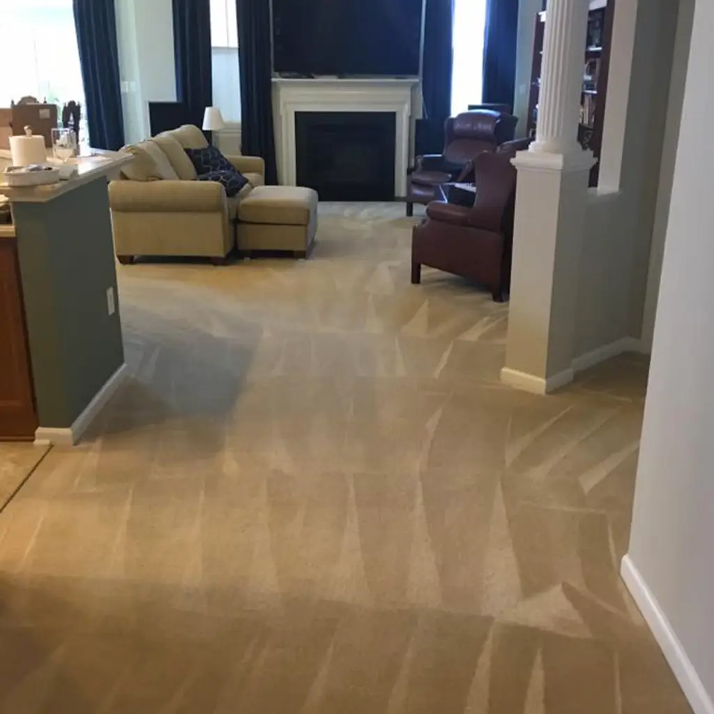 brothers carpet 4