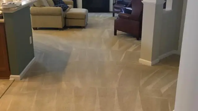 brothers carpet 4