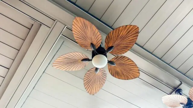 5 blade
