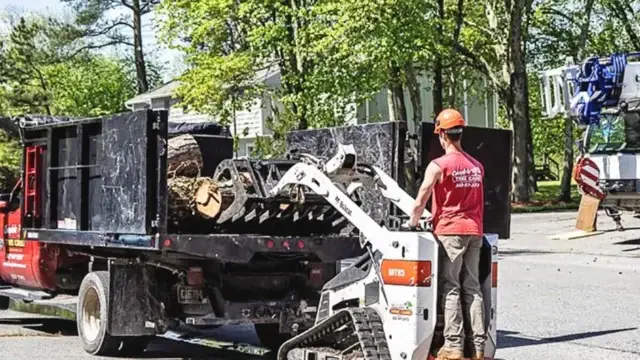 complete tree care 1