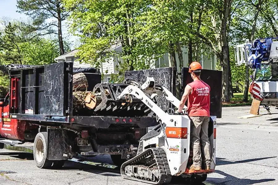 complete tree care 1