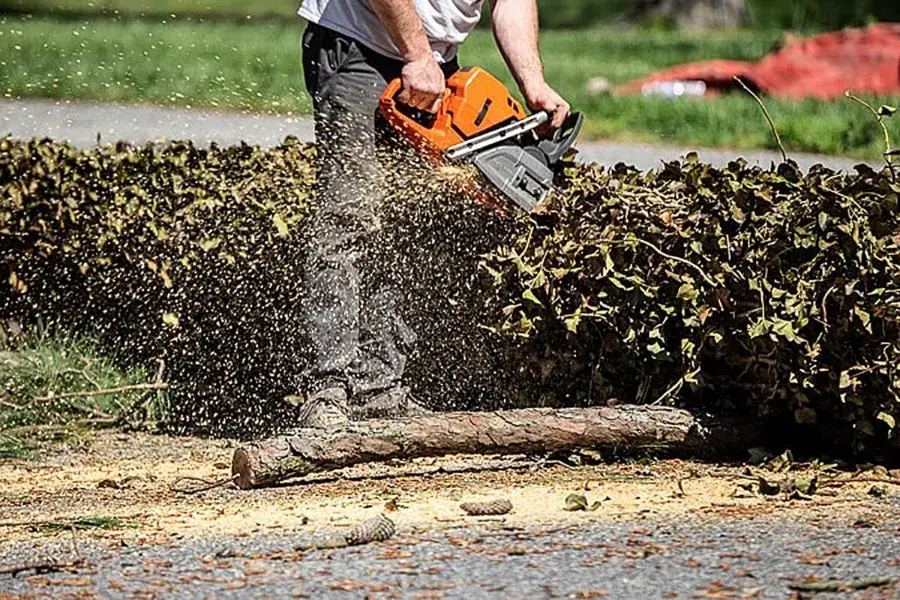 complete tree care 2