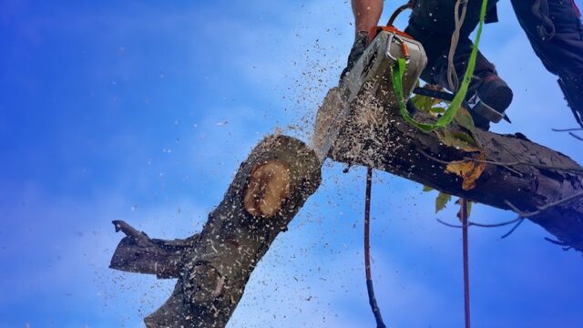 Complete Tree Care Inc.