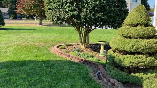 Cut ‘Em Up Tree Care of Delaware, Inc.