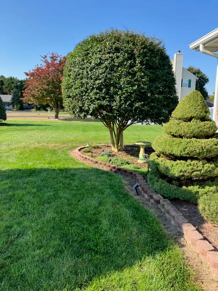 Cut ‘Em Up Tree Care of Delaware, Inc.