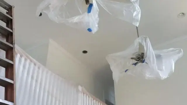 donovans 2