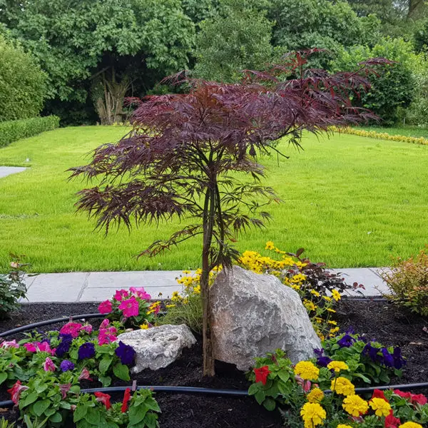 elite tree 3