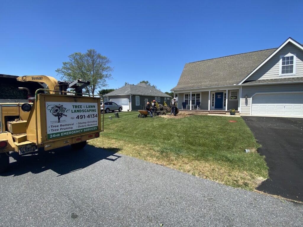 Elite Tree Lawn Landscaping.