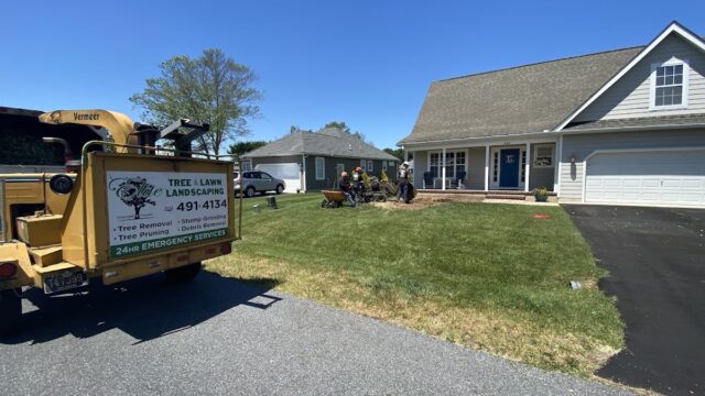 Elite Tree Lawn Landscaping.