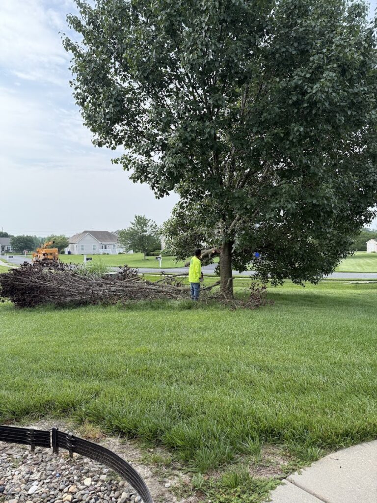 Lawson’s Tree Service & Landscaping LLC