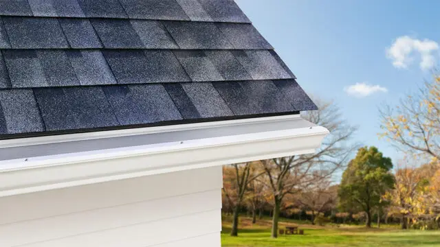 LeafFilter Gutter Installation & Guards