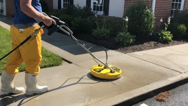 simply clean 1