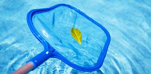 sunshine pool 2