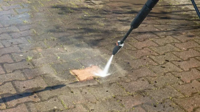 wash buggy 1