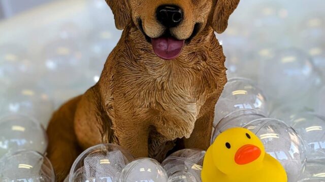 Happy Tails Dog Grooming