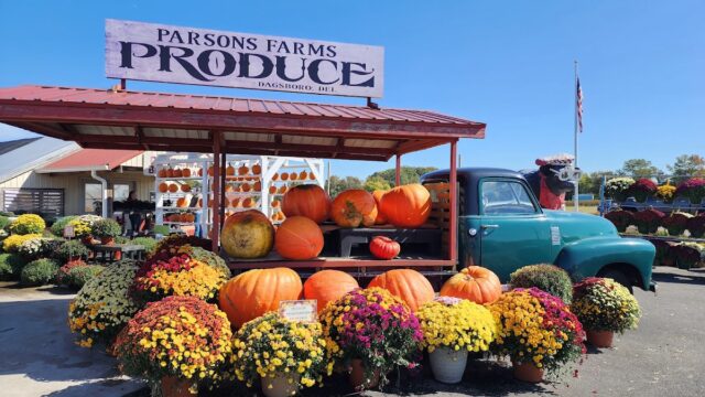 Parsons Farms Produce